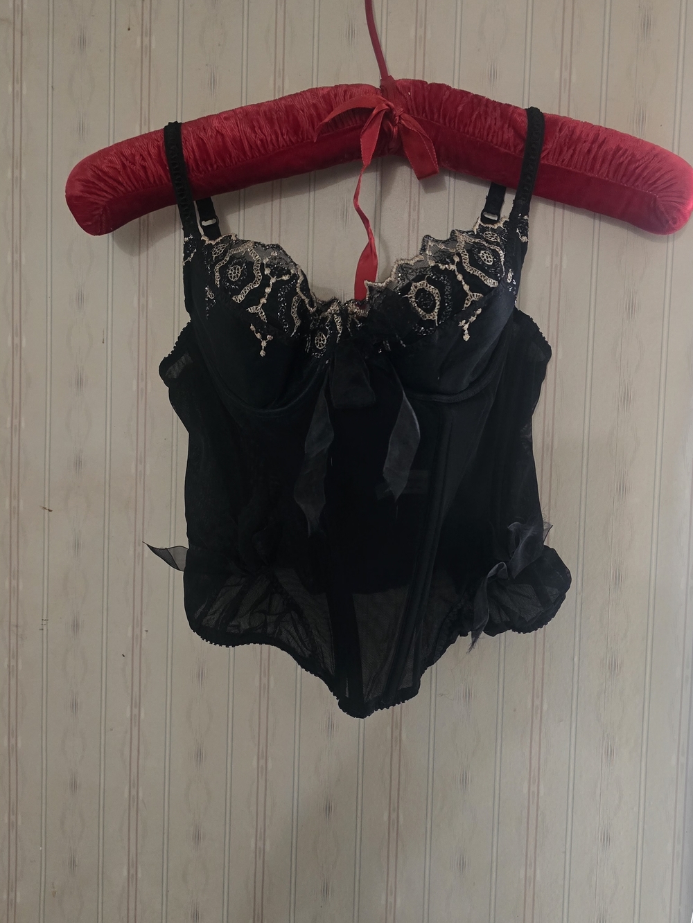 Sheer Black Lace Embroidered Bustier Bodysuit